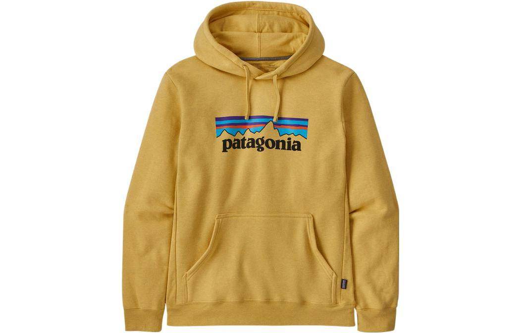 Худи Patagonia SS22 - Boxette Shop
